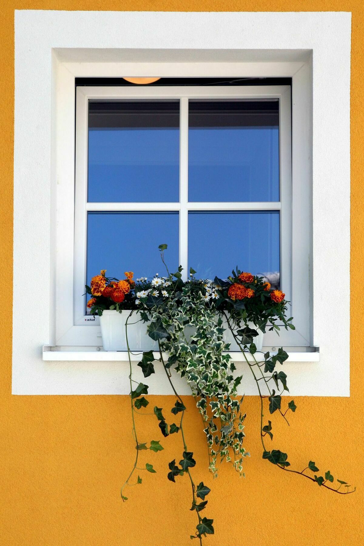 Ante Portas Appartement Salzburg